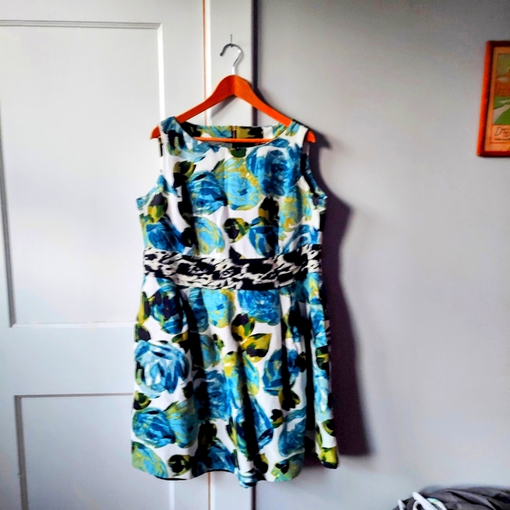 Taylor dress size 16w